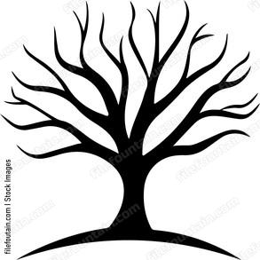 Leafless Tree