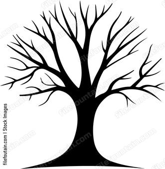 Leafless Tree