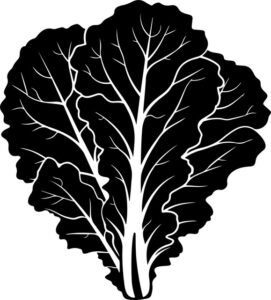 Lettuce