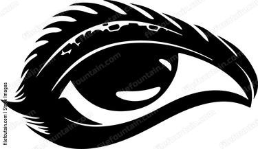 Lizard Eye