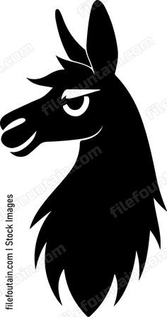 Llama