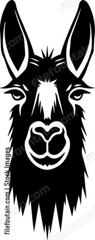 Llama Head