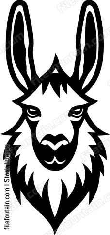 Llama Head