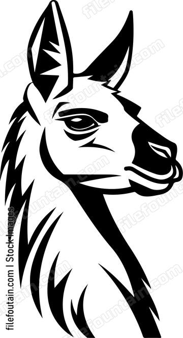 Llama Head Side