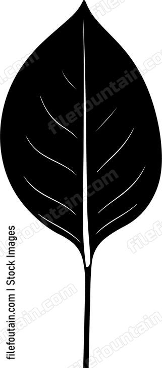 Long Leaf
