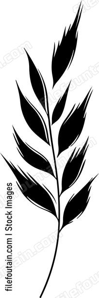 Long Leaf