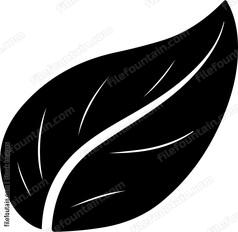 Long Leaf