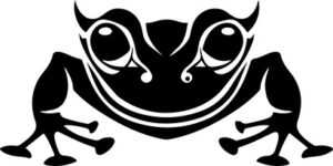 Long Nosed Horned Frog