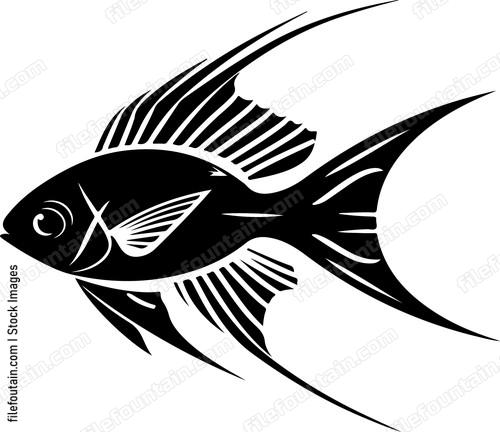 Longfin Cardinalfish