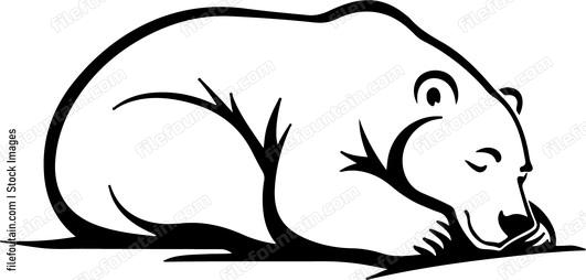 Lying Polar Bear