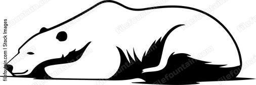 Lying Polar Bear