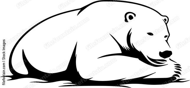 Lying Polar Bear