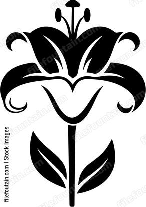 Madonna Lily