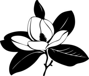 Magnolia