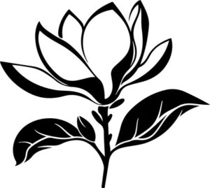 Magnolia Flower Bloom