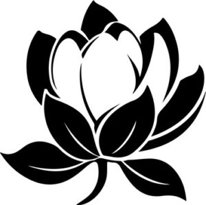 Magnolia Flower Bloom