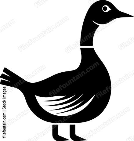 Magpie Goose