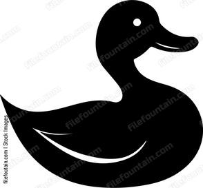 Mallard Duck