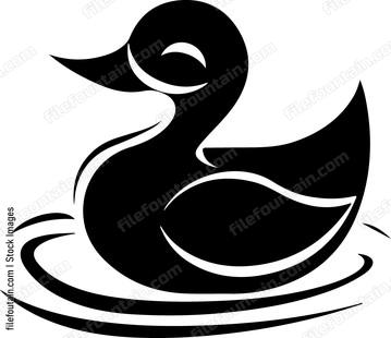 Mallard Duck