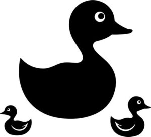 Mama Duck And Babies