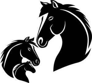 Mama Horse And Baby Horse