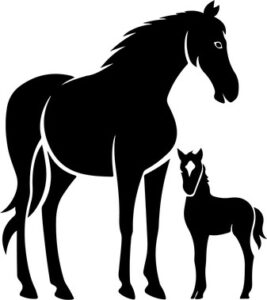 Mama Horse And Baby Horse