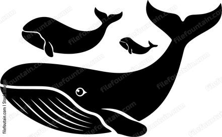 Mama Whale And Baby