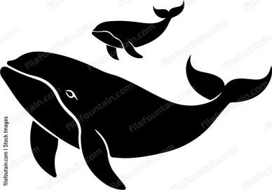 Mama Whale And Baby