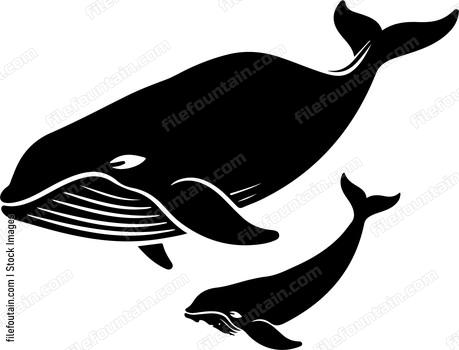 Mama Whale And Baby