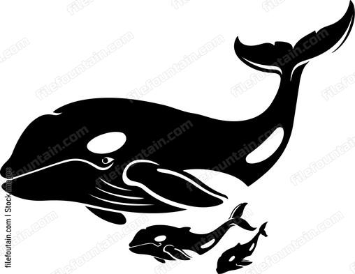Mama Whale And Baby