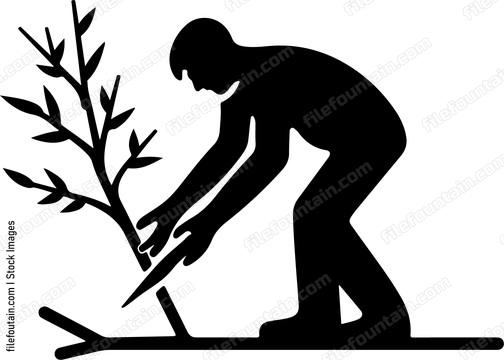 Man Cutting The Branch