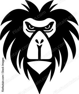 Mandrill Monkey