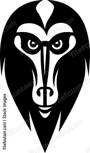 Mandrill Monkey