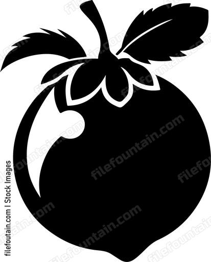 Mangosteen