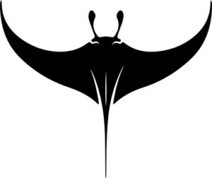 Manta Ray