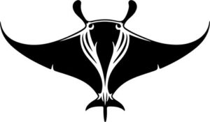 Manta Ray