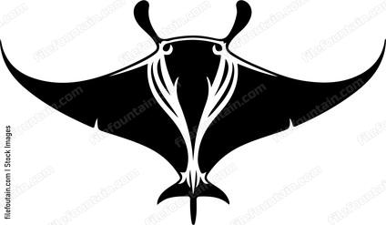 Manta Ray