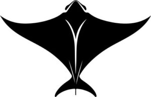 Manta Ray