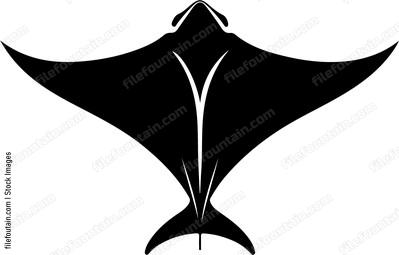 Manta Ray