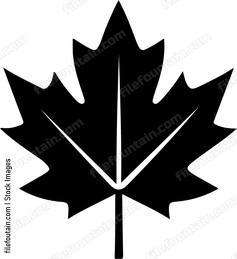 Maple Leaf