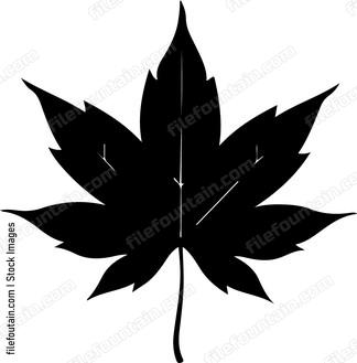 Maple Leaf