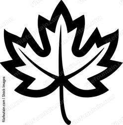 Maple Leaf