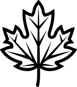 Maple Leaf