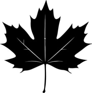 Maple Leaf