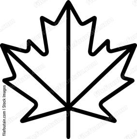 Maple Leaf