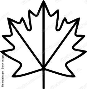 Maple Leaf