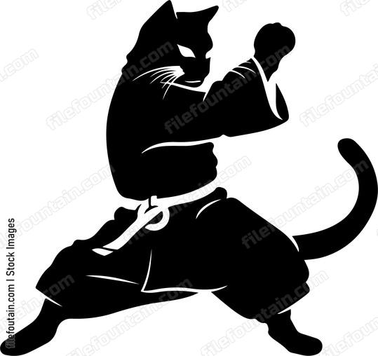 Martial Arts Cat