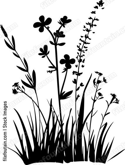 Meadow