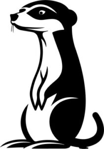 Meerkat