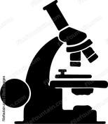 Microscope